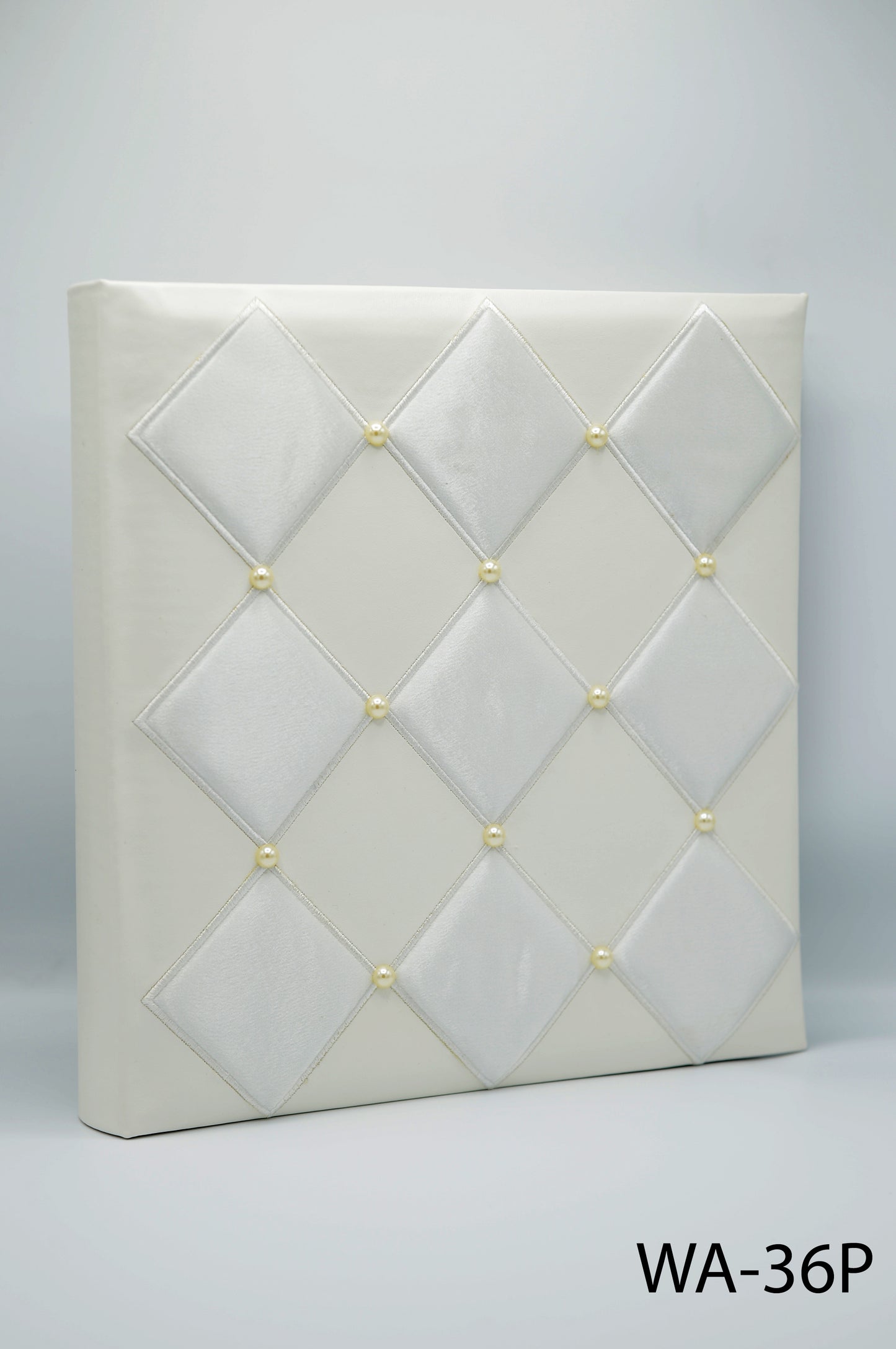 Leather Albums