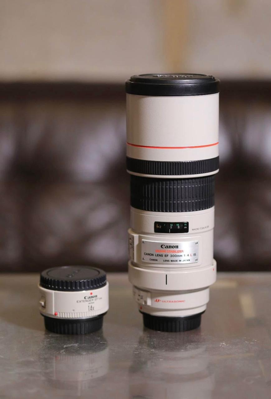 Canon EF 300mm f/4L IS with Extender EF 1.4x