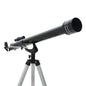 Toyerbee F90060
