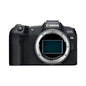 Canon EOS R8 body