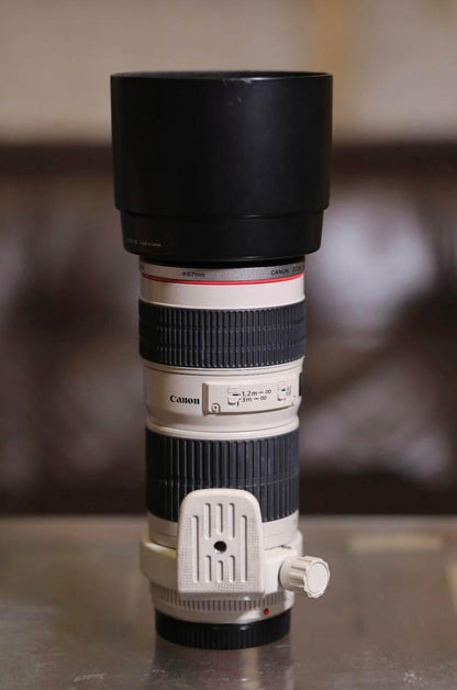 Canon Lens EF70-200mm f4