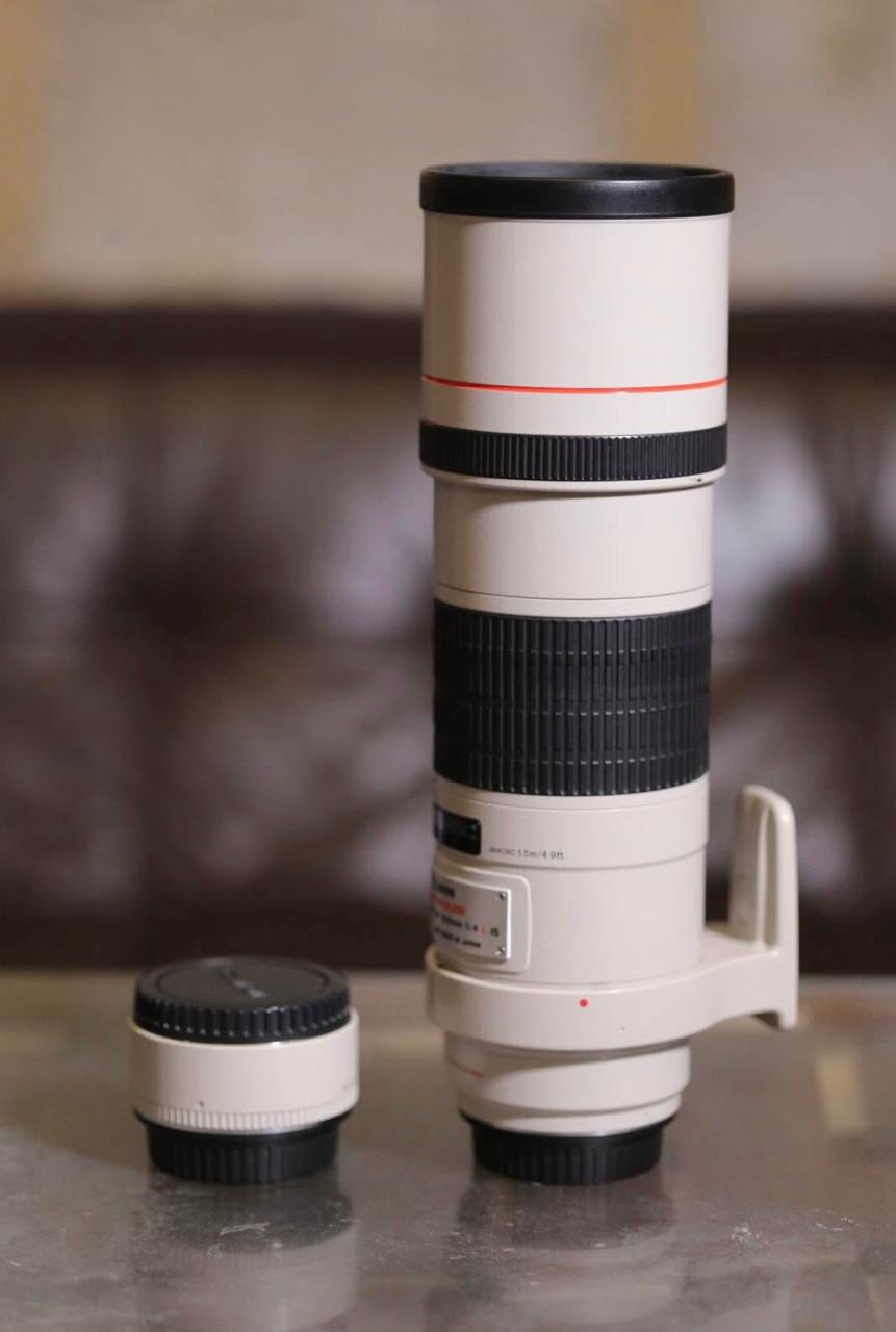 Canon EF 300mm f/4L IS with Extender EF 1.4x