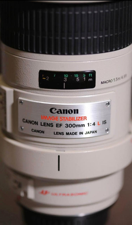 Canon EF 300mm f/4L IS with Extender EF 1.4x