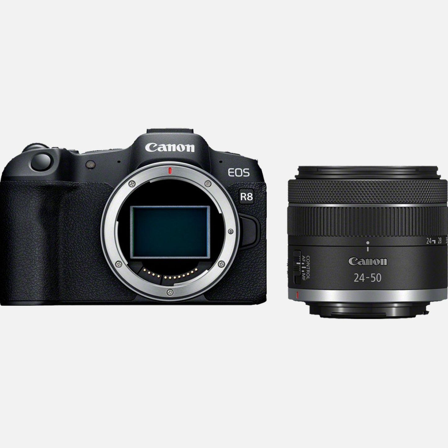 Canon EOS R8 with 24-50mm