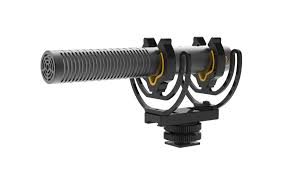 Deity V-Mic D3